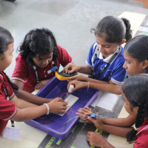 Programmes 3 robotic